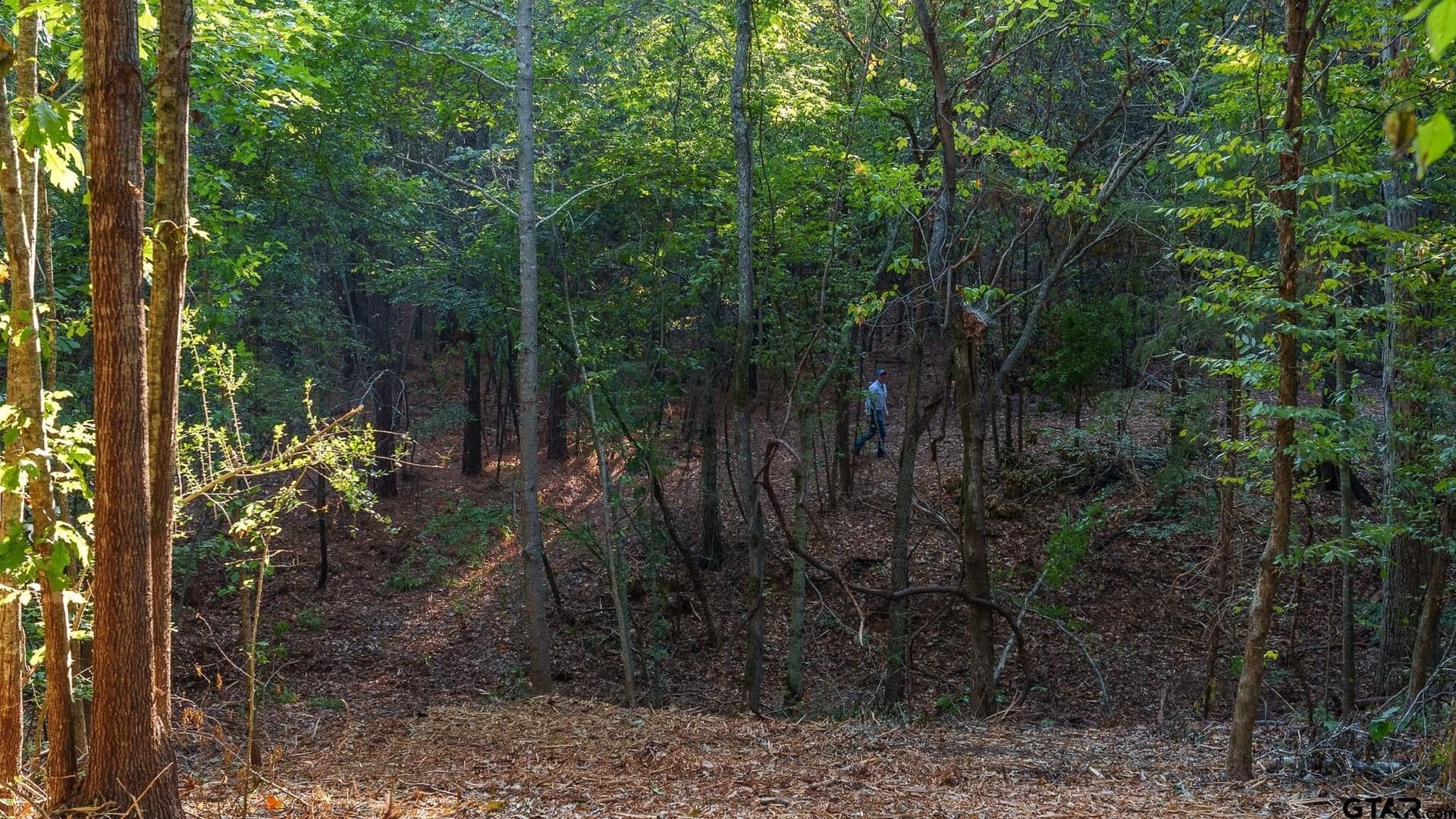 141.79 acres in Smith County - photo 28