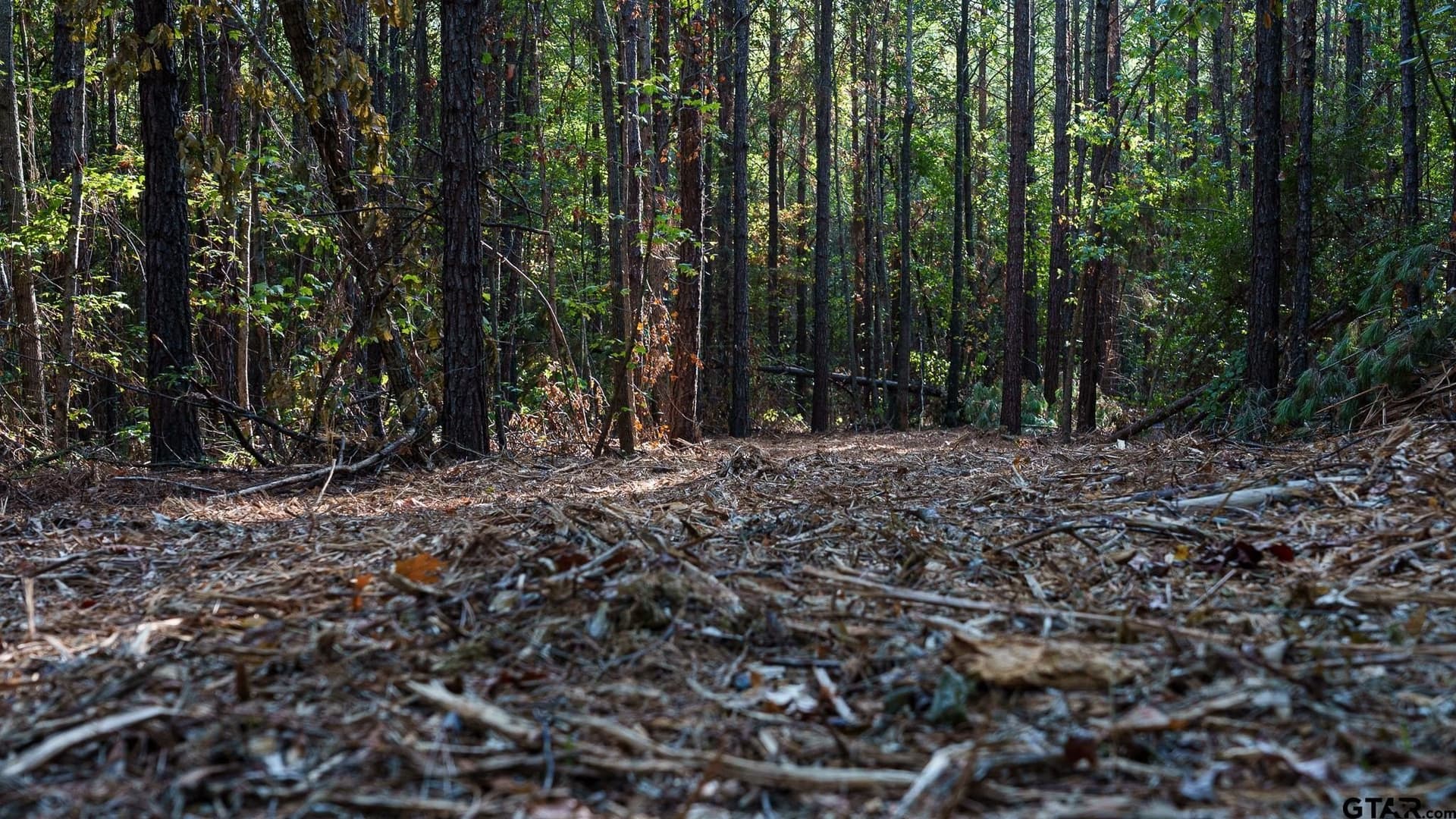 141.79 acres in Smith County - photo 35