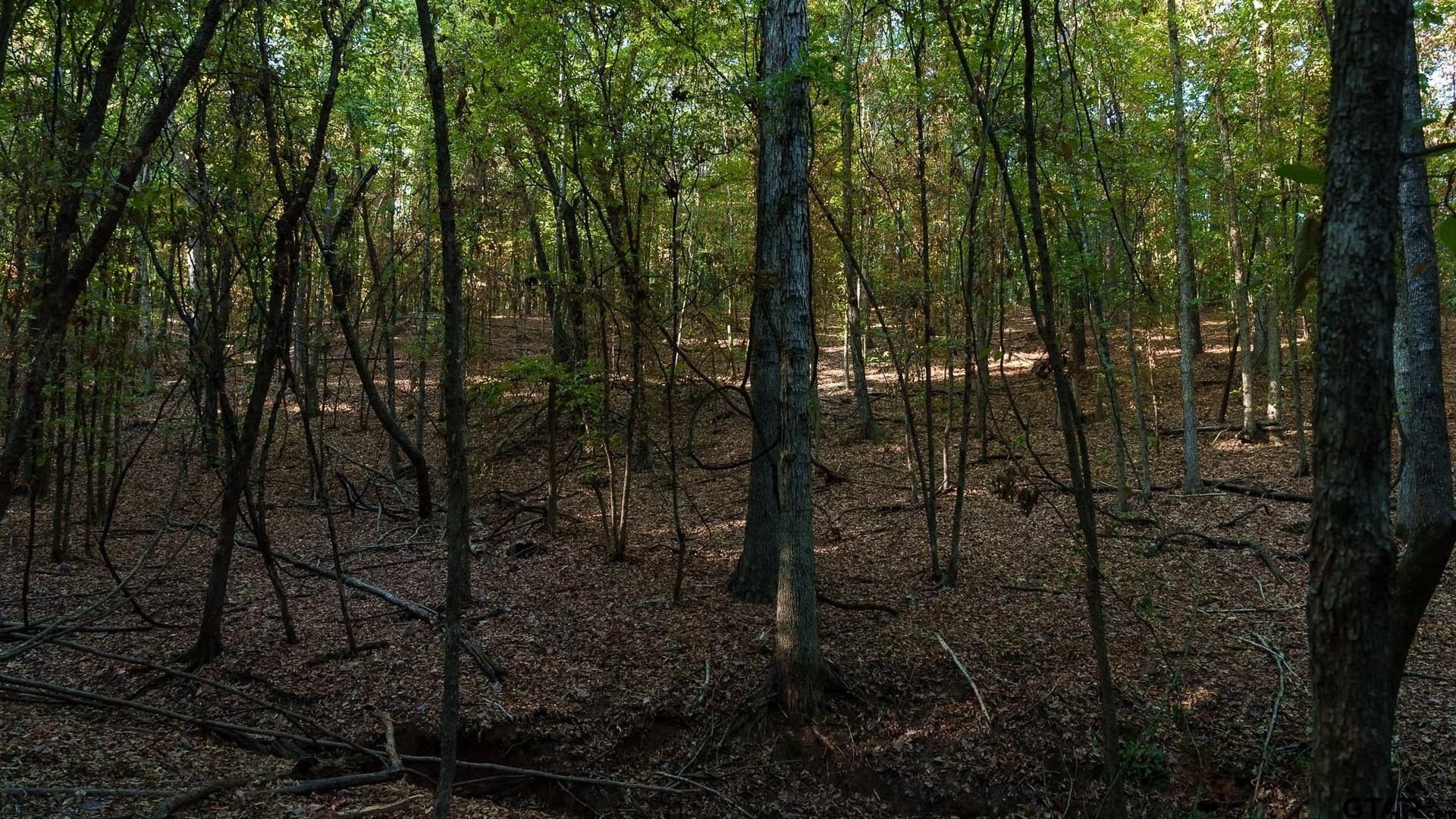 141.79 acres in Smith County - photo 30