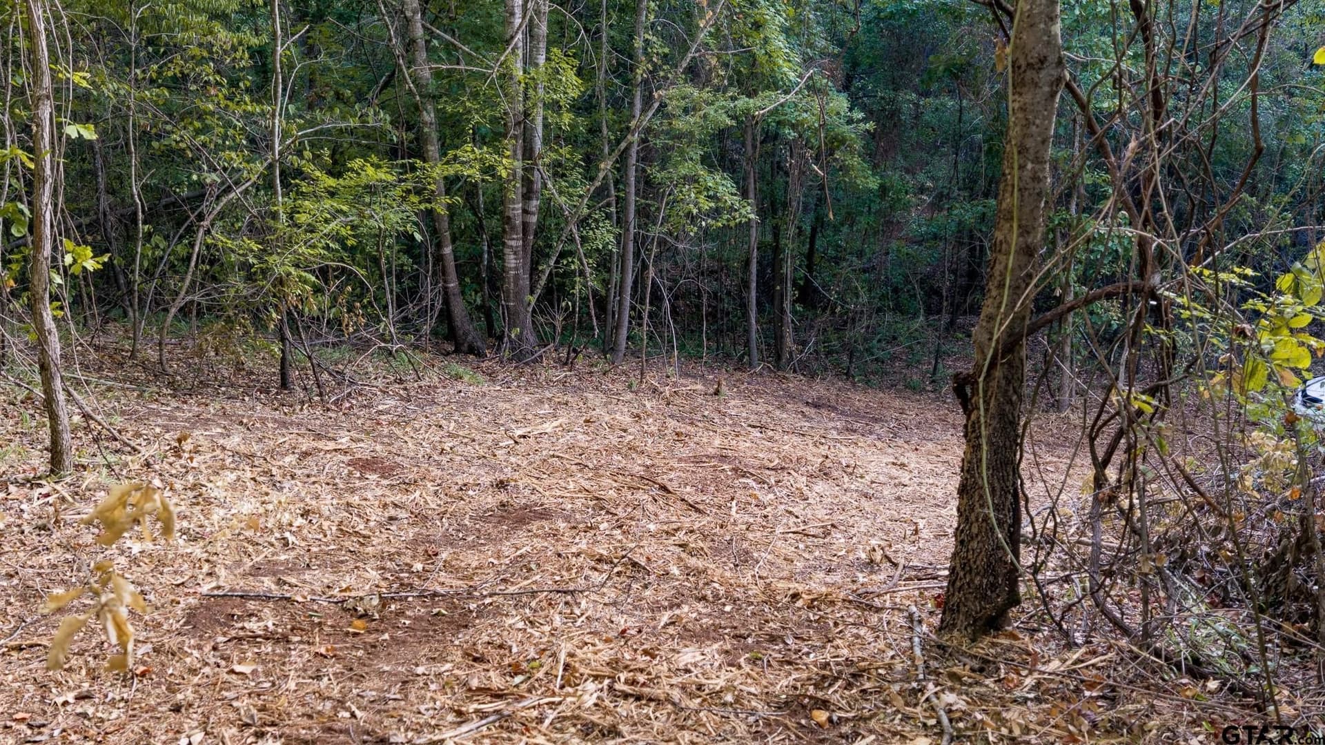 141.79 acres in Smith County - photo 21