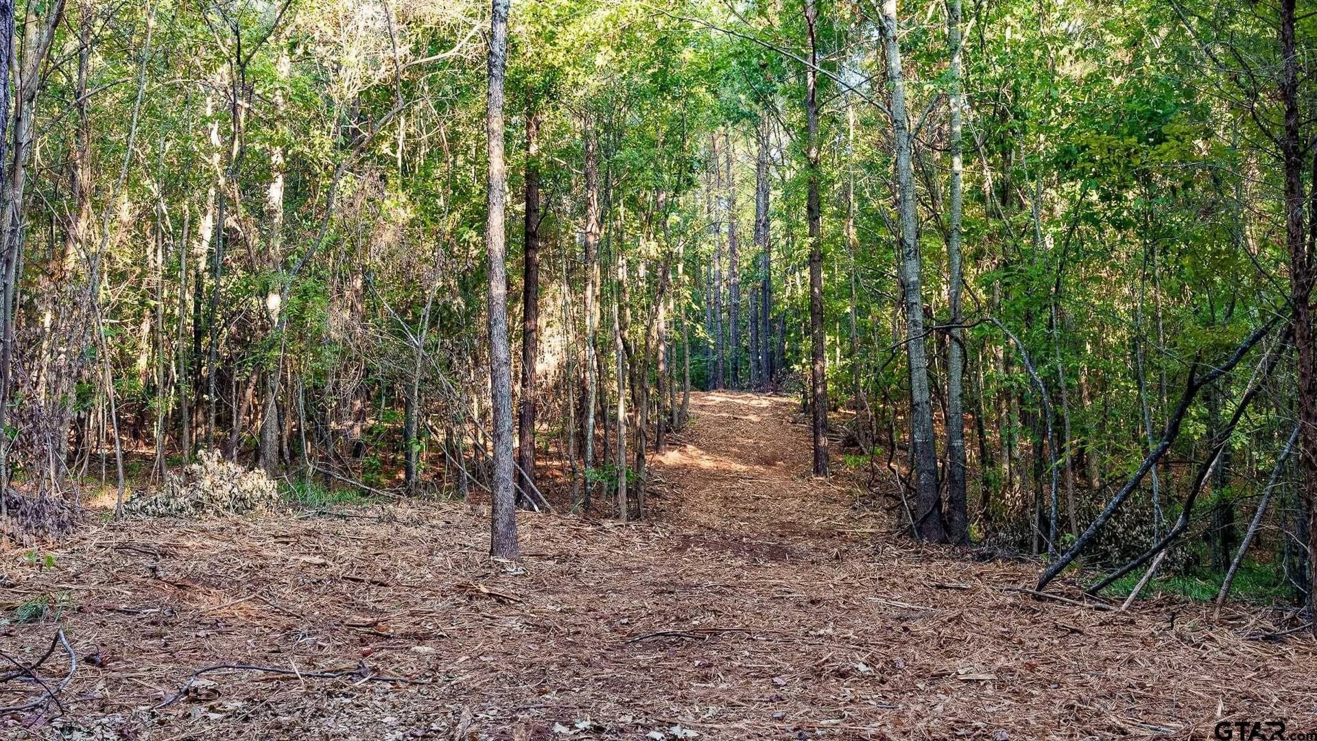 141.79 acres in Smith County - photo 23