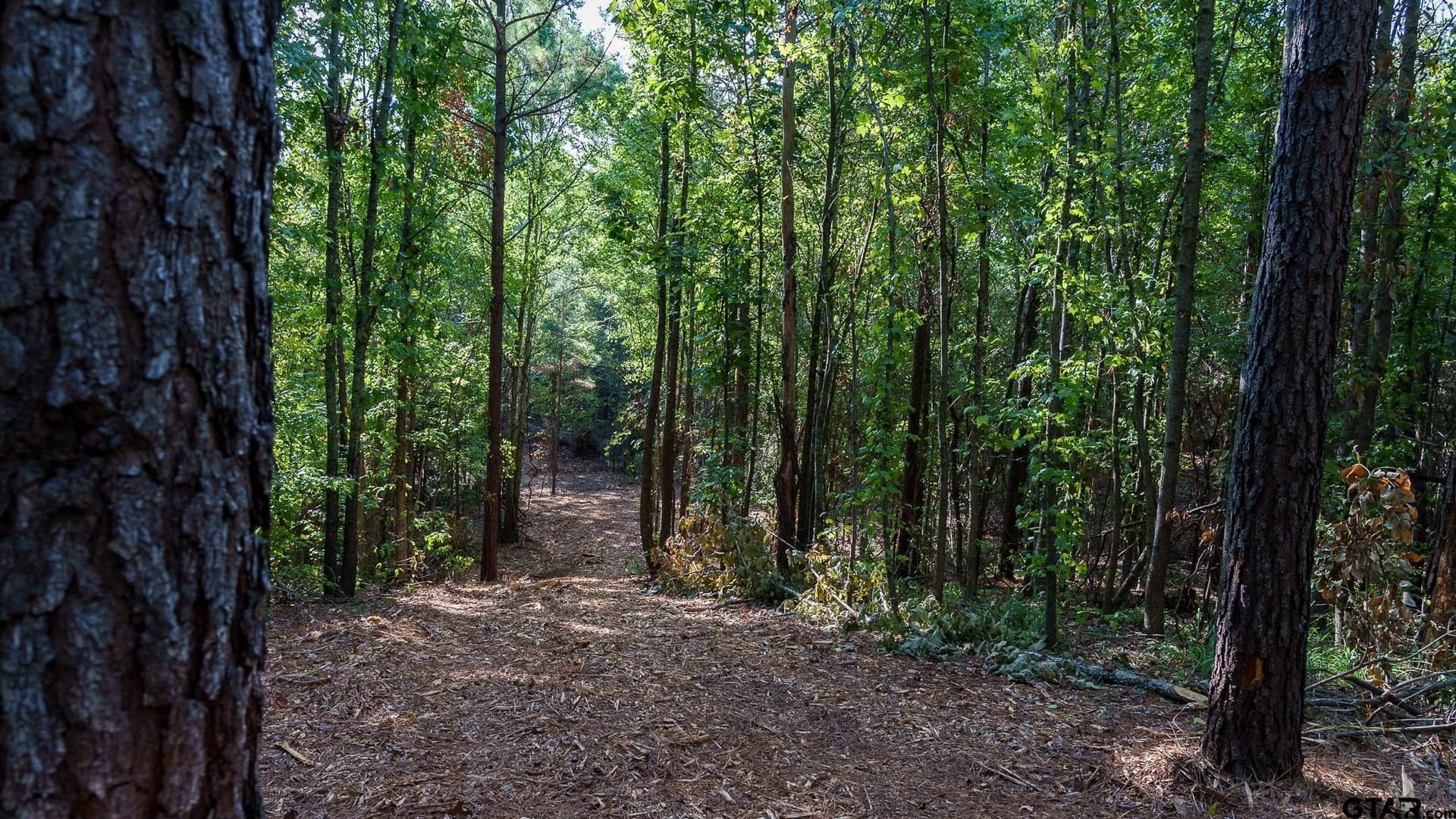 141.79 acres in Smith County - photo 37