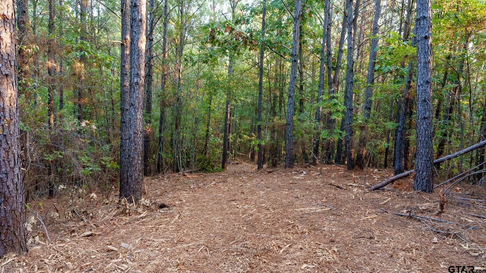 141.79 acres in Smith County - photo 20