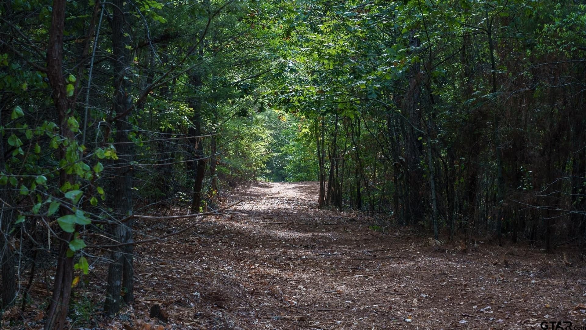 141.79 acres in Smith County - photo 43