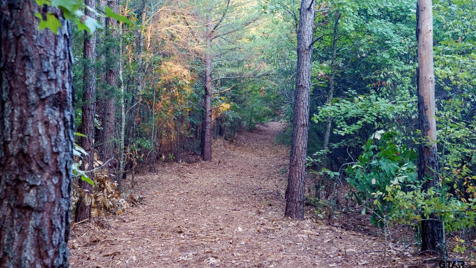 141.79 acres in Smith County - photo 7