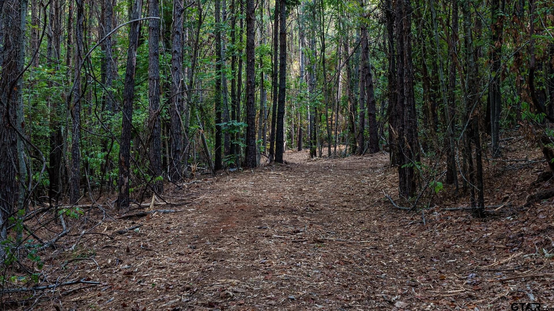 141.79 acres in Smith County - photo 41