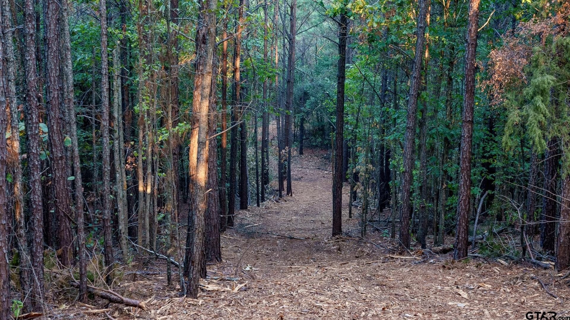 141.79 acres in Smith County - photo 19