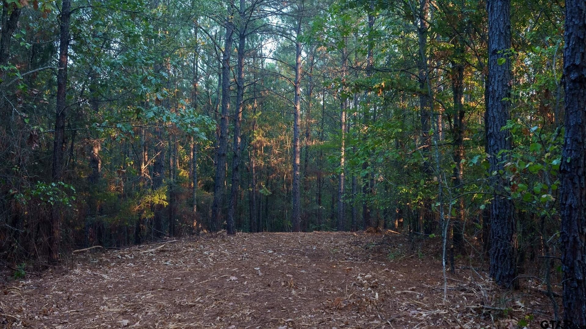 141.79 acres in Smith County - photo 14