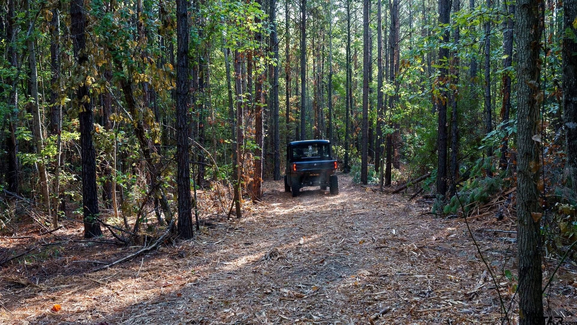 141.79 acres in Smith County - photo 33