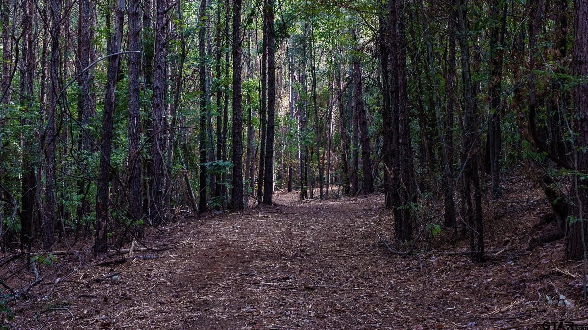 141.79 acres in Smith County - photo 40