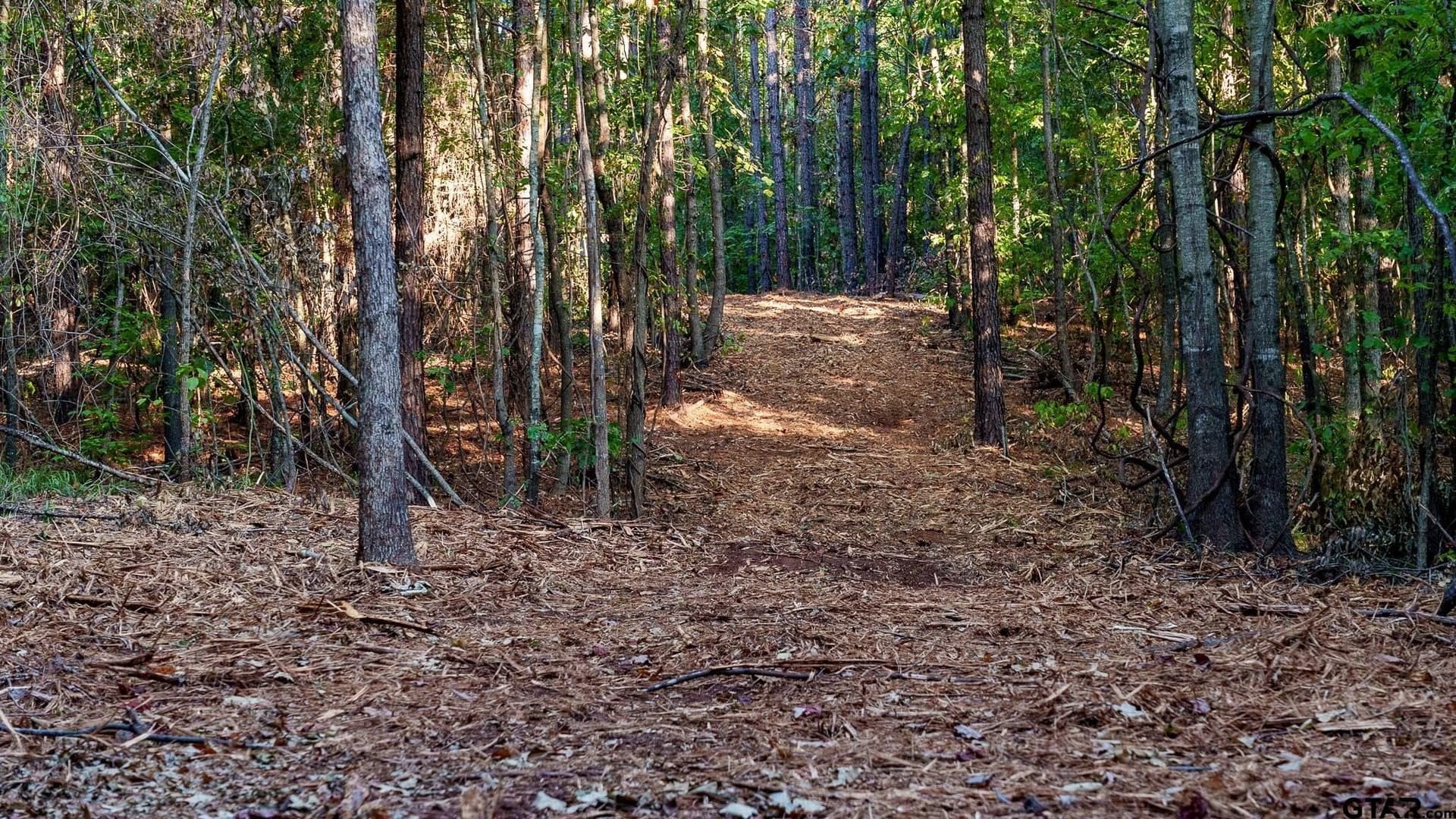 141.79 acres in Smith County - photo 24