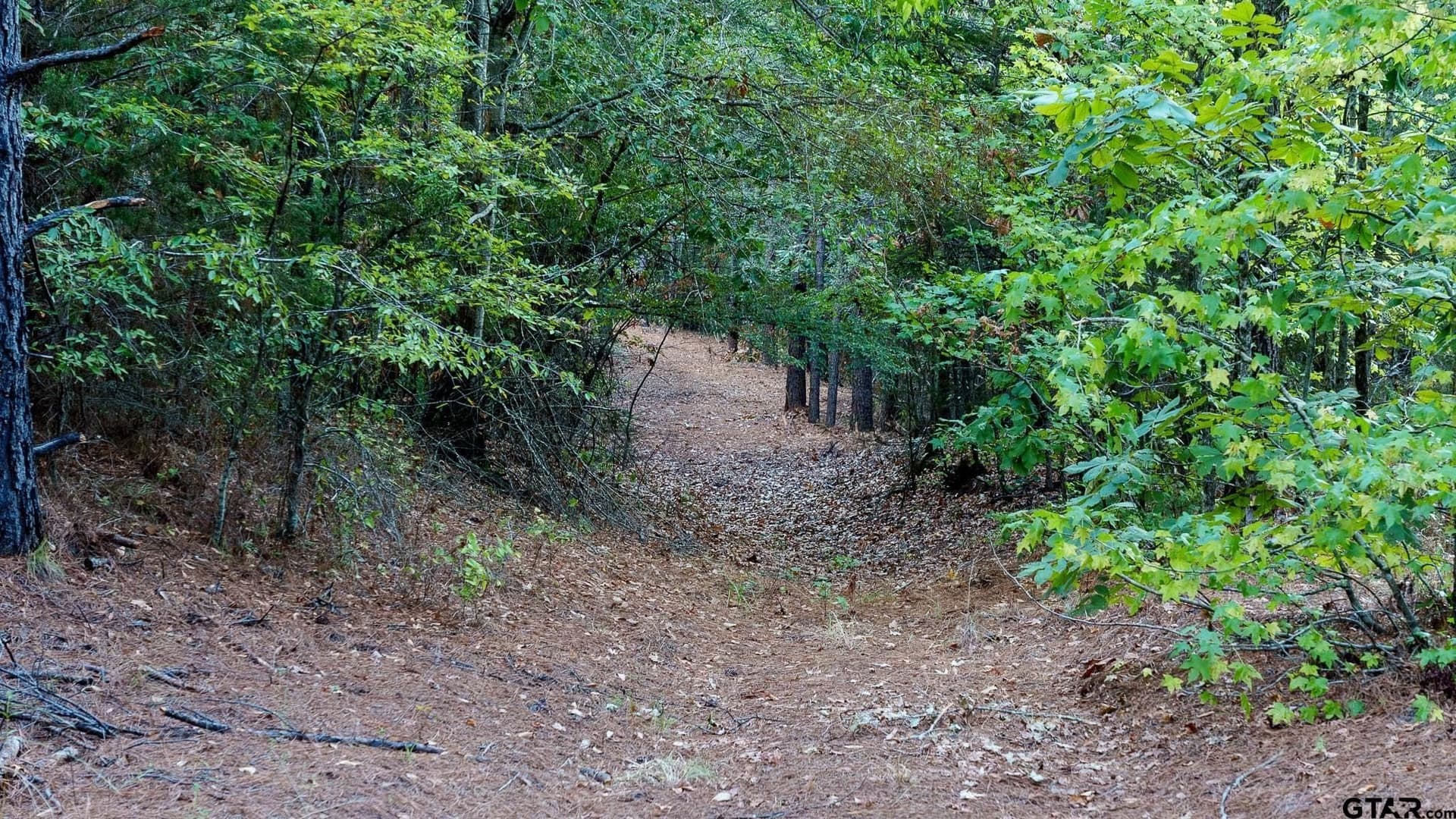 141.79 acres in Smith County - photo 44