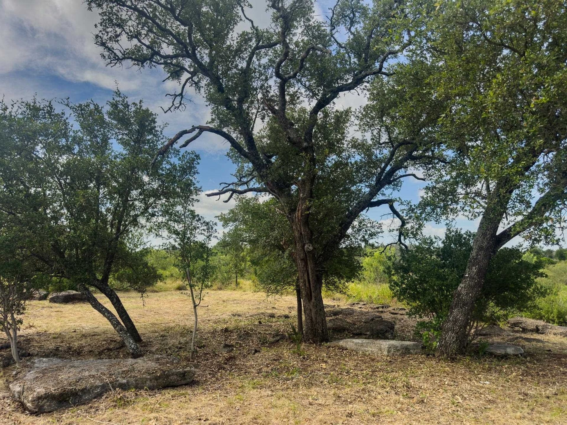 3 acres in Burnet County - photo 13
