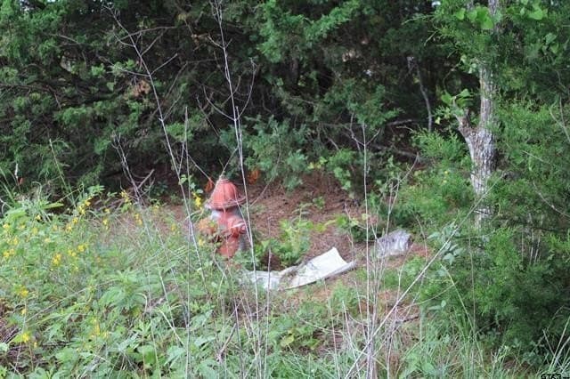 14.73 acres in Cherokee County - photo 5