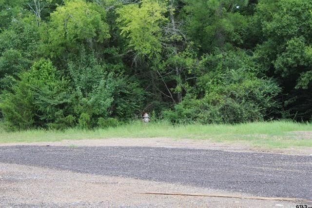 14.73 acres in Cherokee County - photo 3