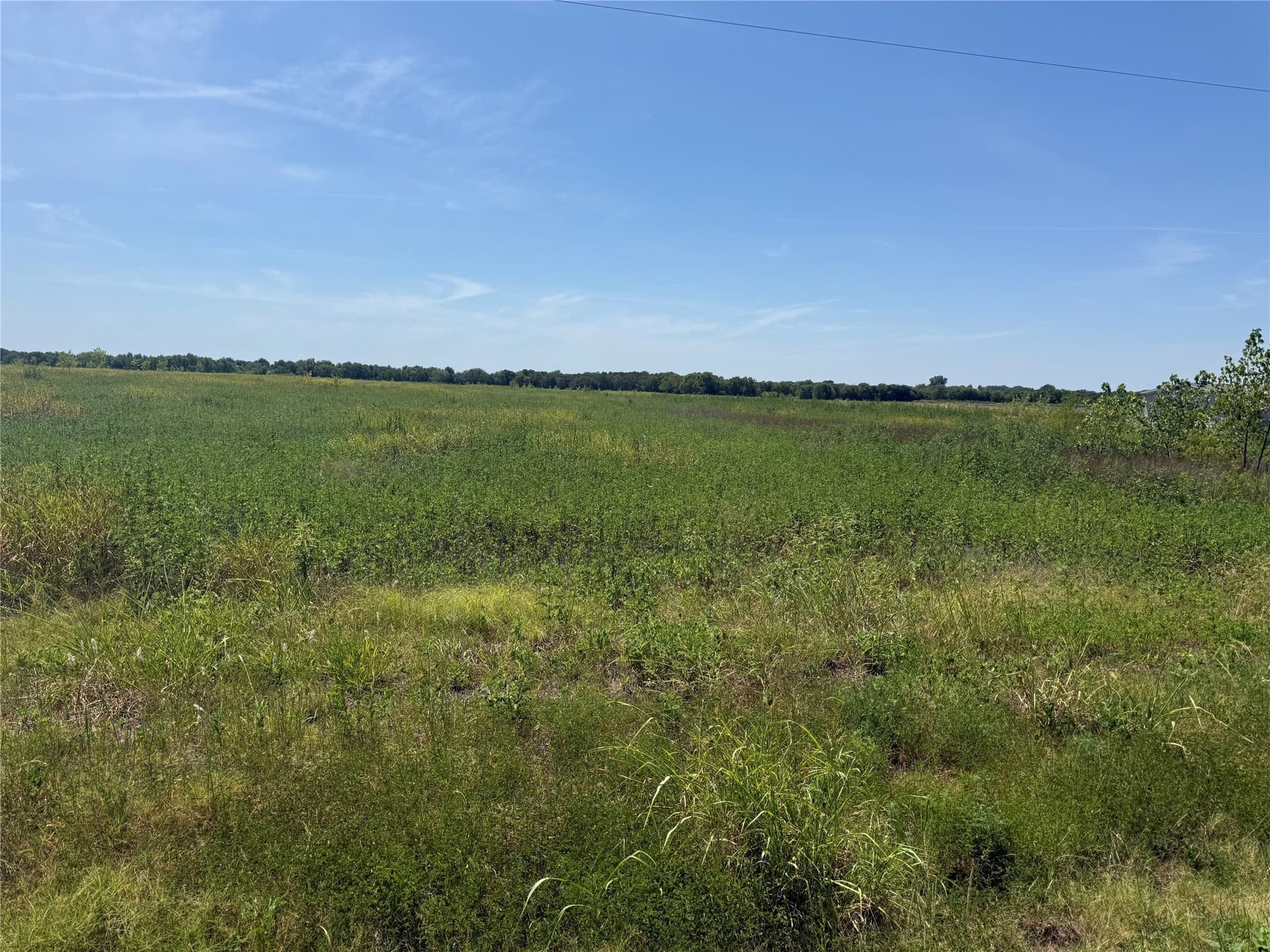 10.15 acres in Fannin County