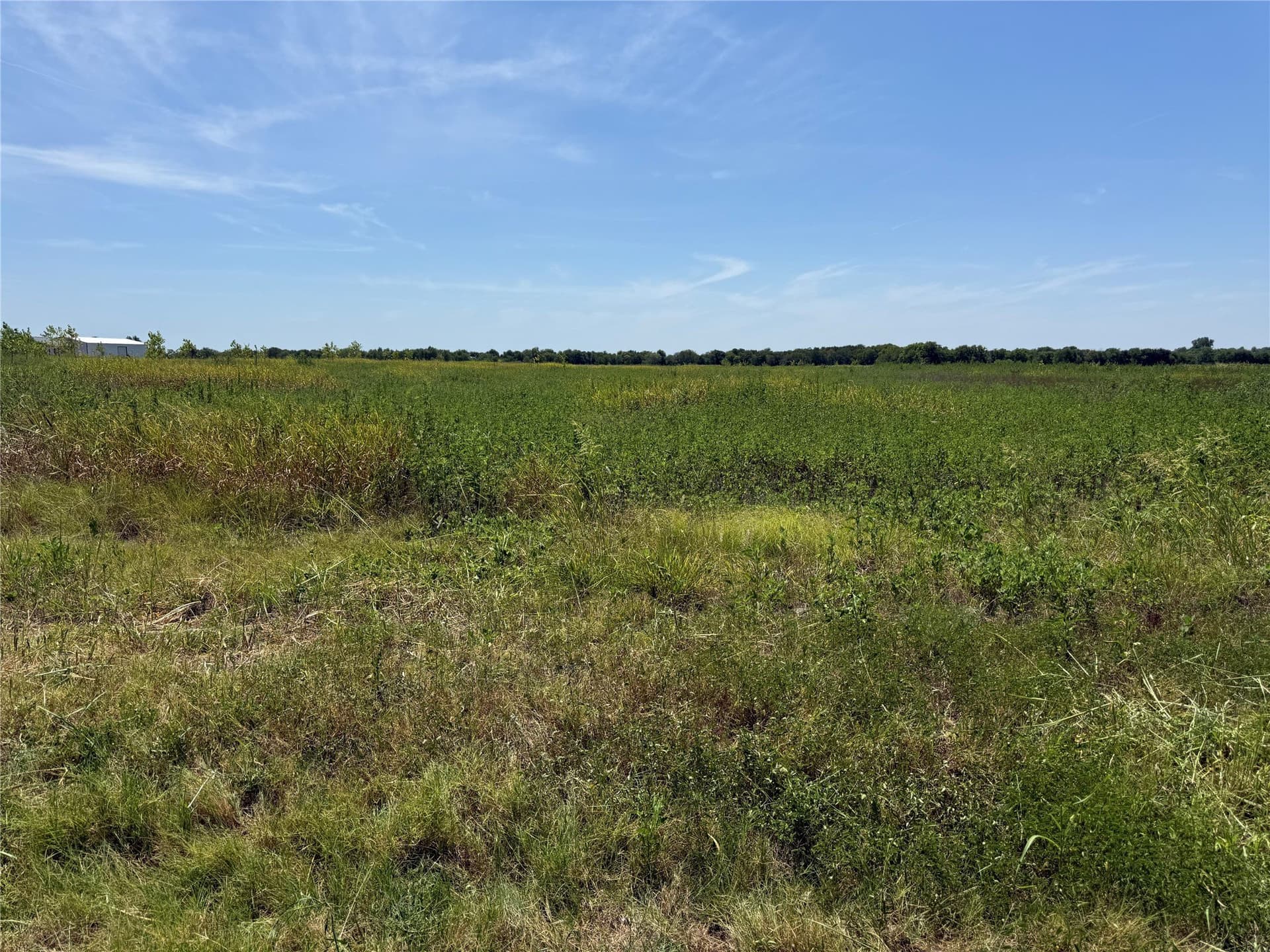 10.15 acres in Fannin County - photo 2