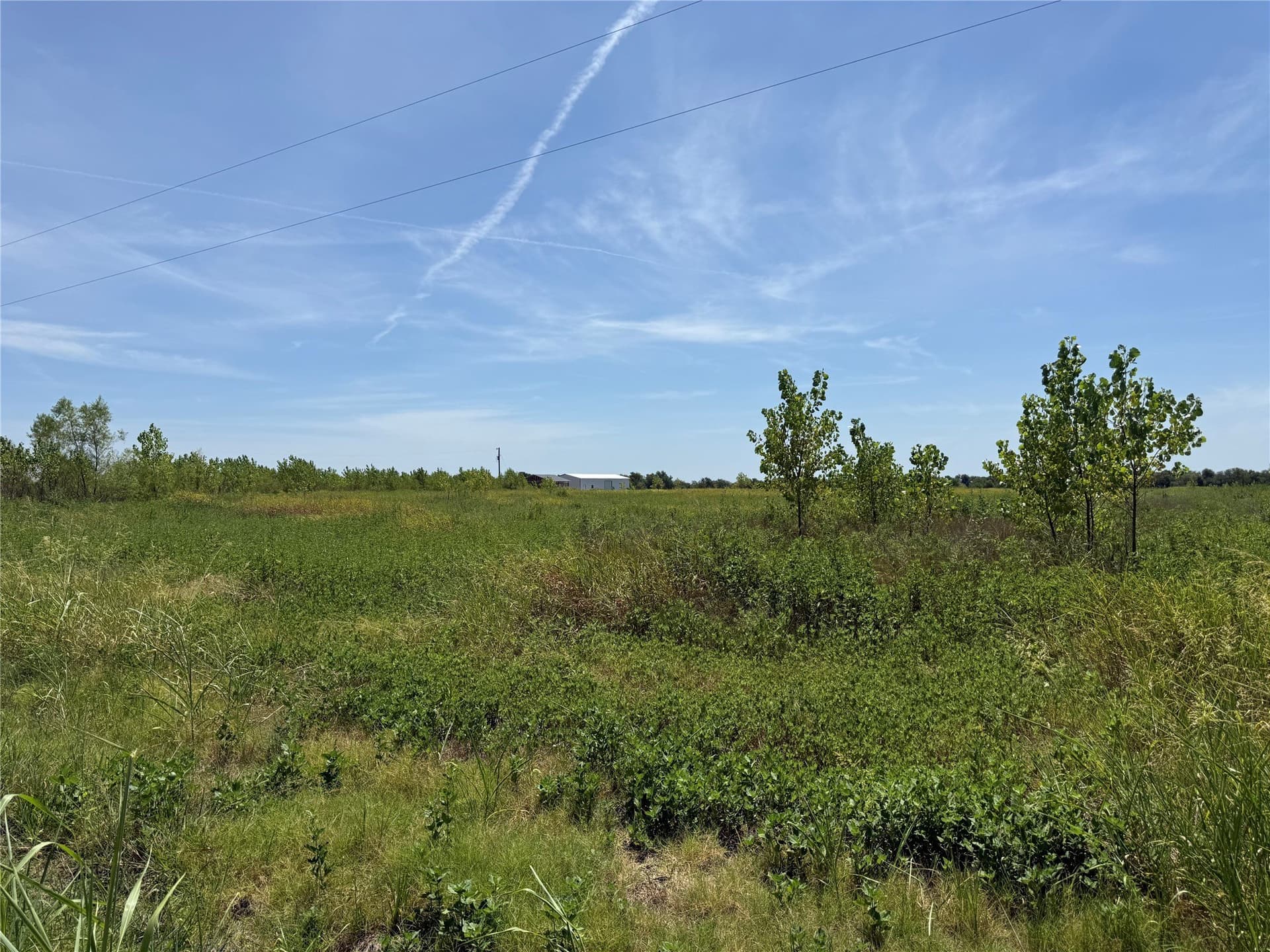10.15 acres in Fannin County - photo 5