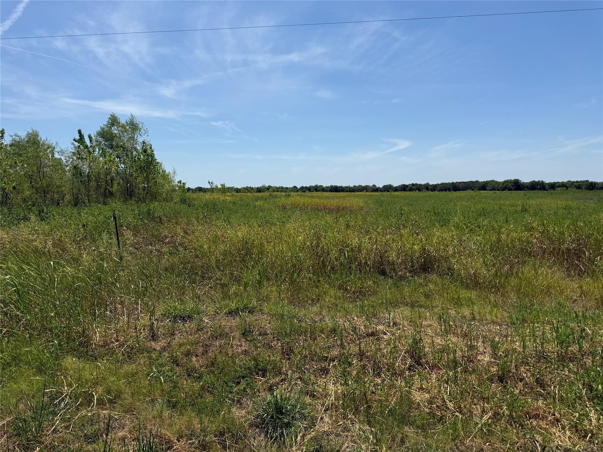 10.15 acres in Fannin County - photo 4
