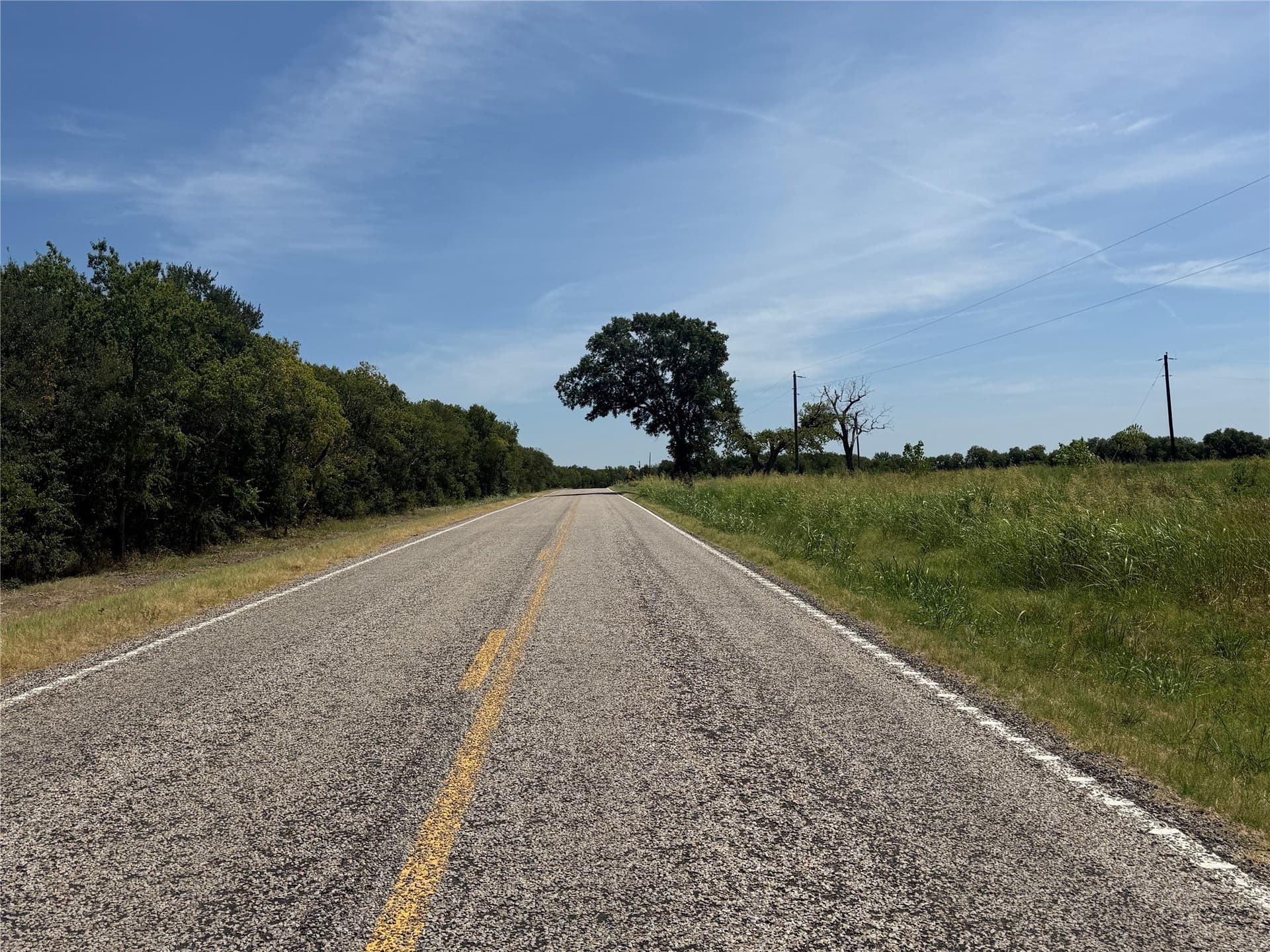 10.15 acres in Fannin County - photo 7