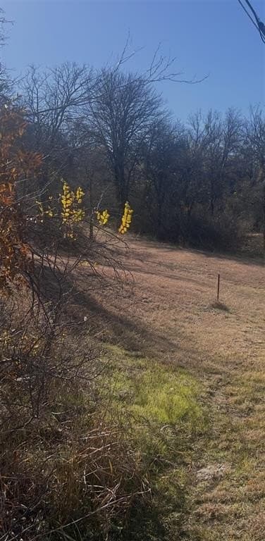 0.51 acres in Wise County gallery image 3