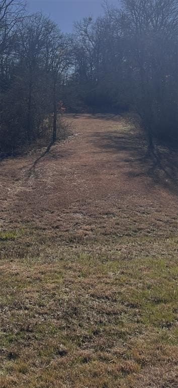 0.51 acres in Wise County gallery image 2