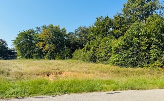 0.18 acres in Henderson County gallery image 4