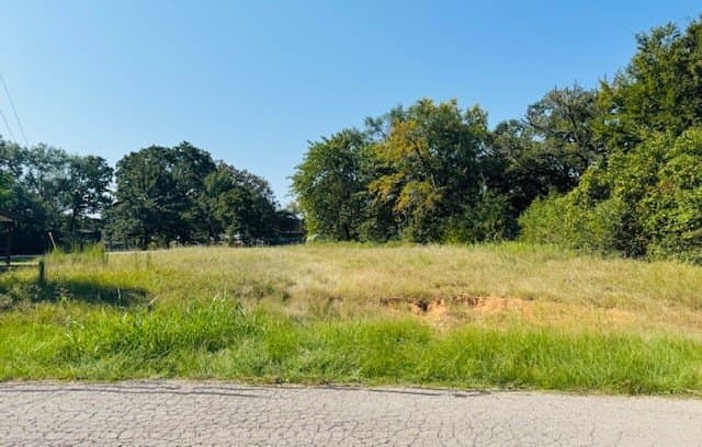 0.18 acres in Henderson County gallery image 3