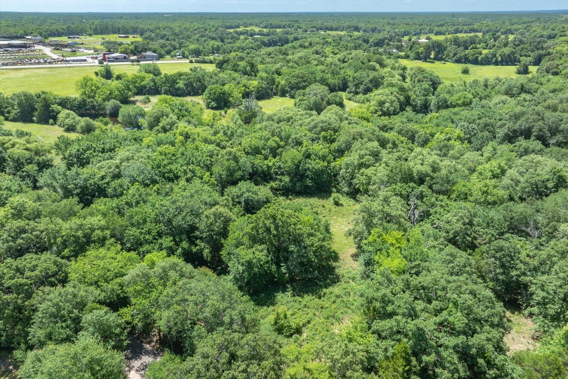 13.94 acres in Rains County - photo 13