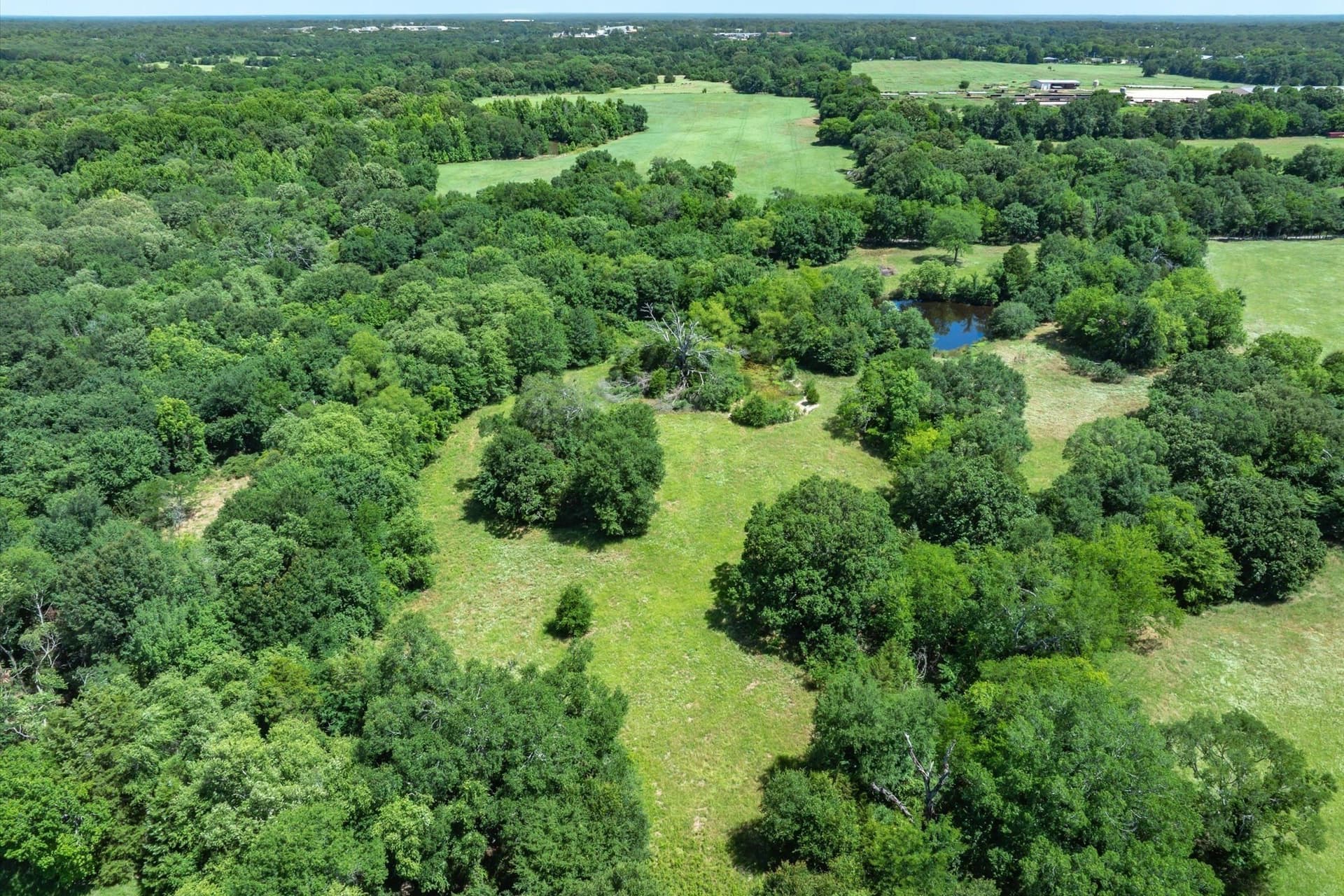 13.94 acres in Rains County - photo 5