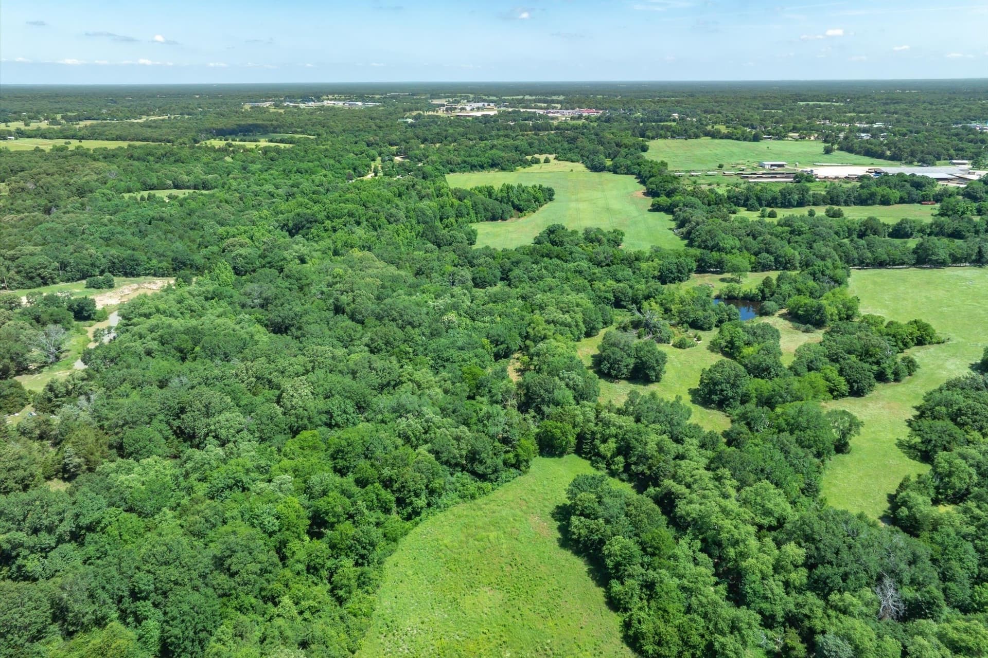 13.94 acres in Rains County - photo 15