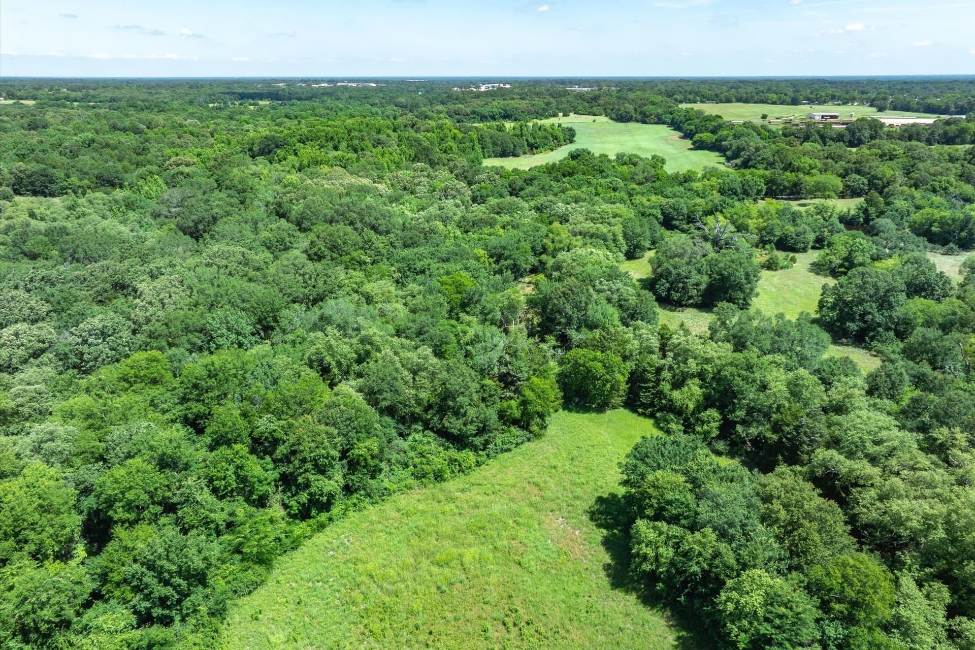 13.94 acres in Rains County - photo 9