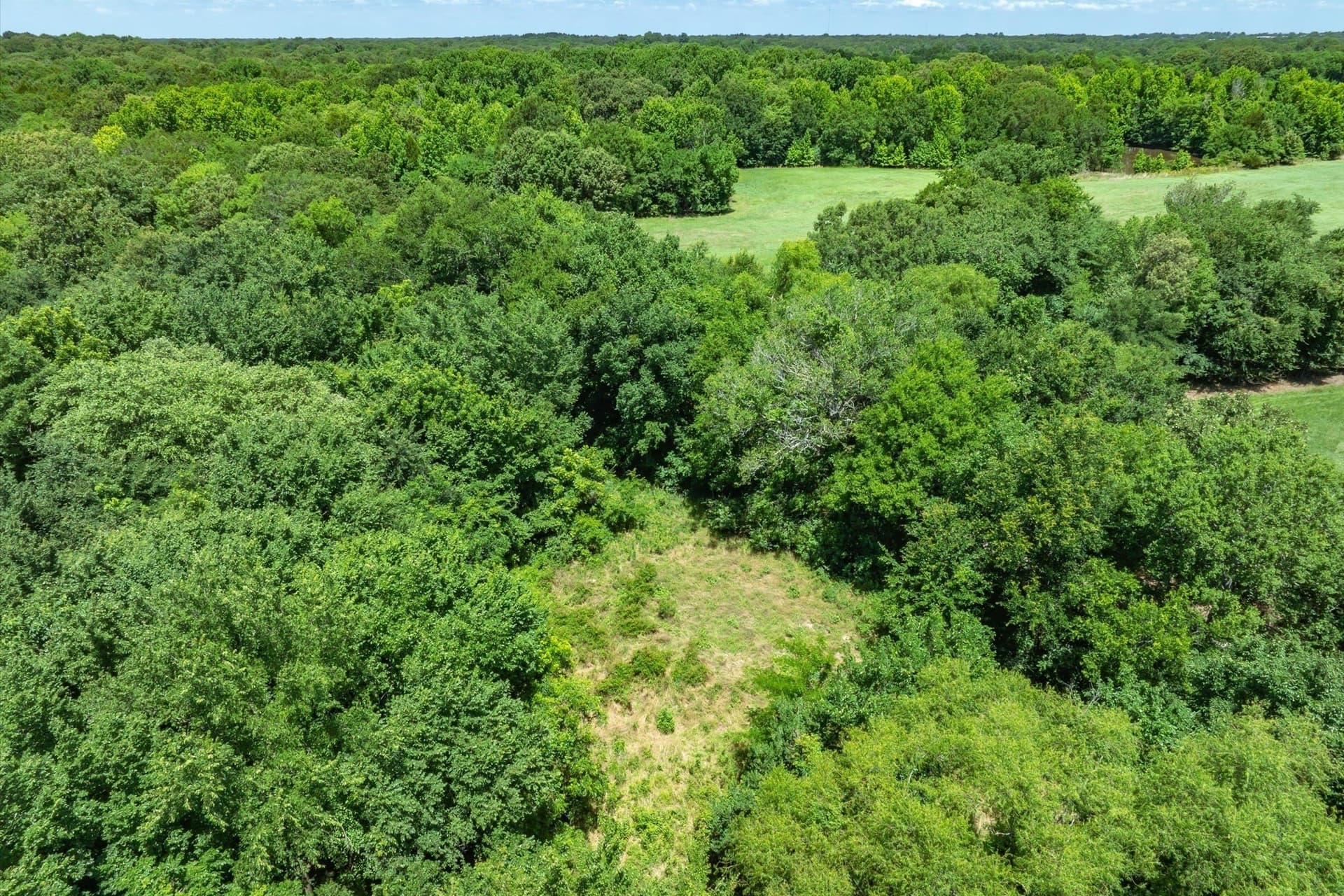 13.94 acres in Rains County - photo 11