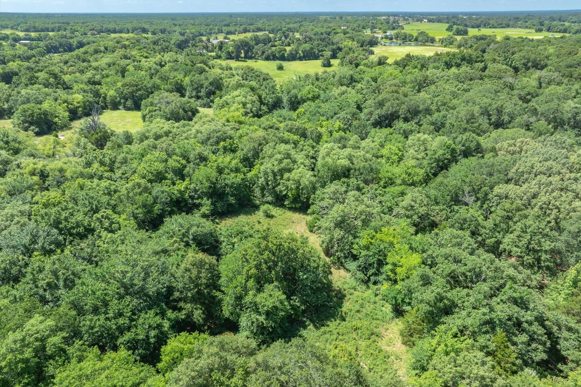13.94 acres in Rains County - photo 8
