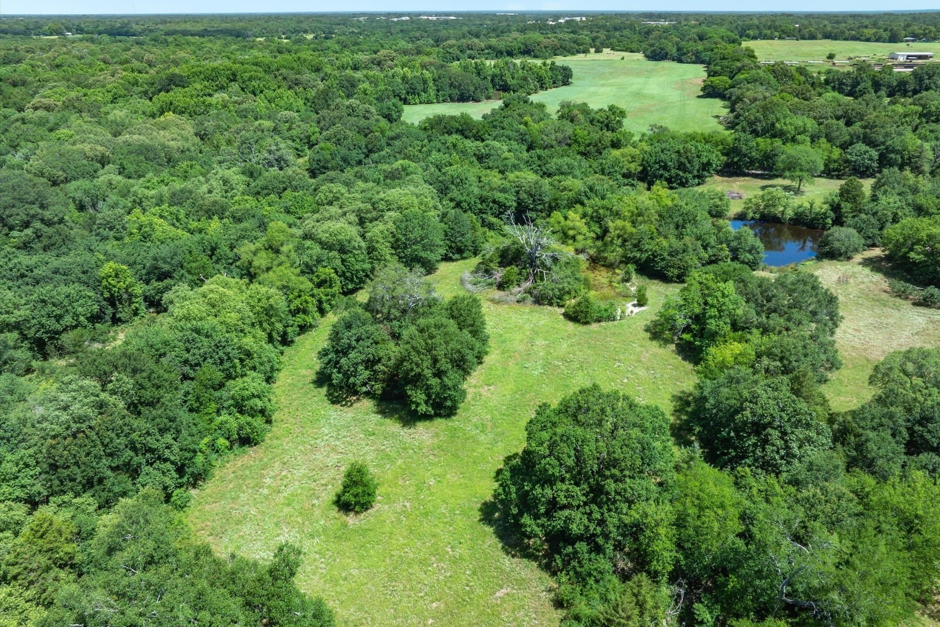 13.94 acres in Rains County - photo 4