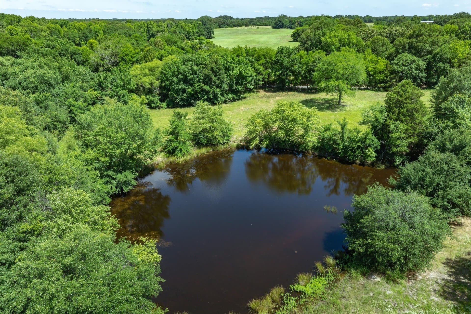 13.94 acres in Rains County - photo 3