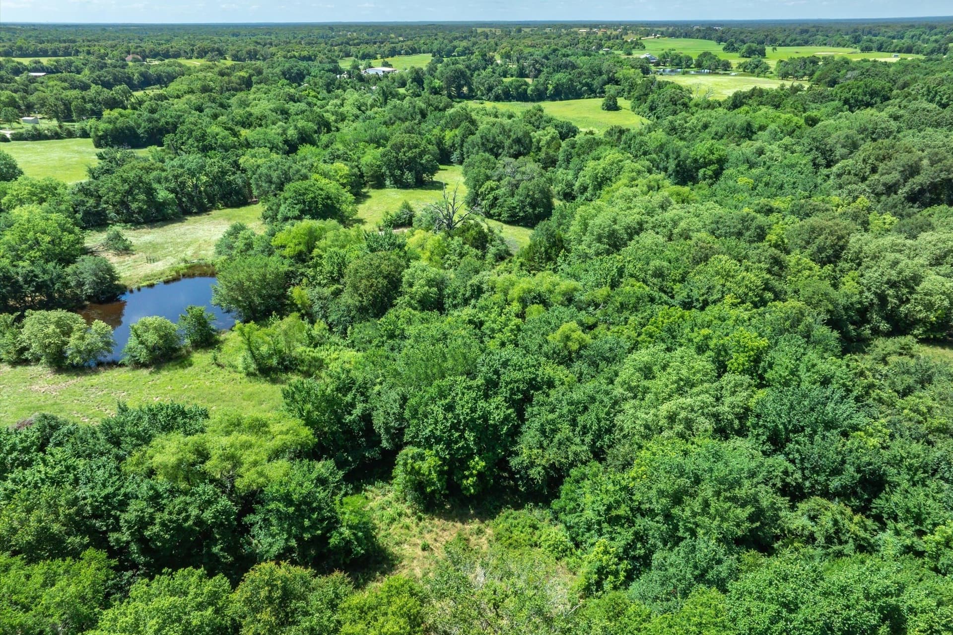 13.94 acres in Rains County - photo 6