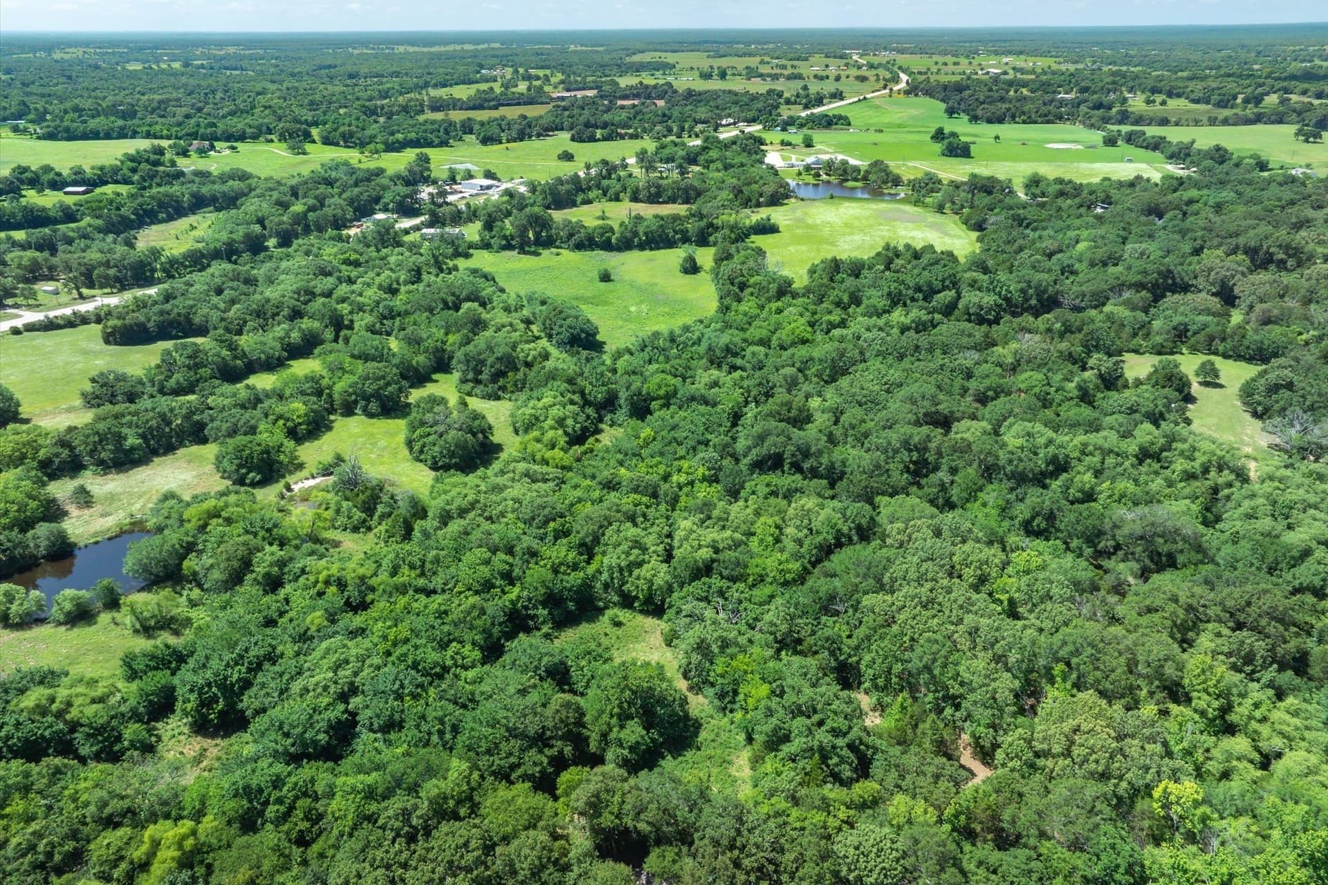 13.94 acres in Rains County - photo 14