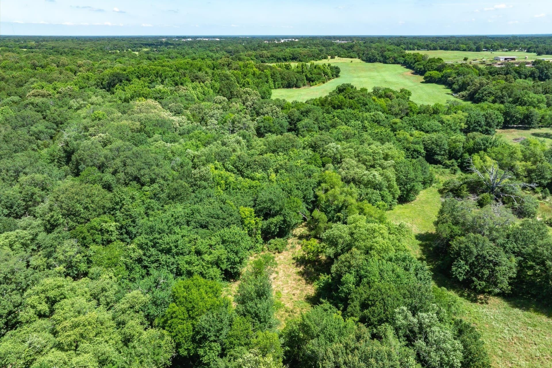 13.94 acres in Rains County - photo 10