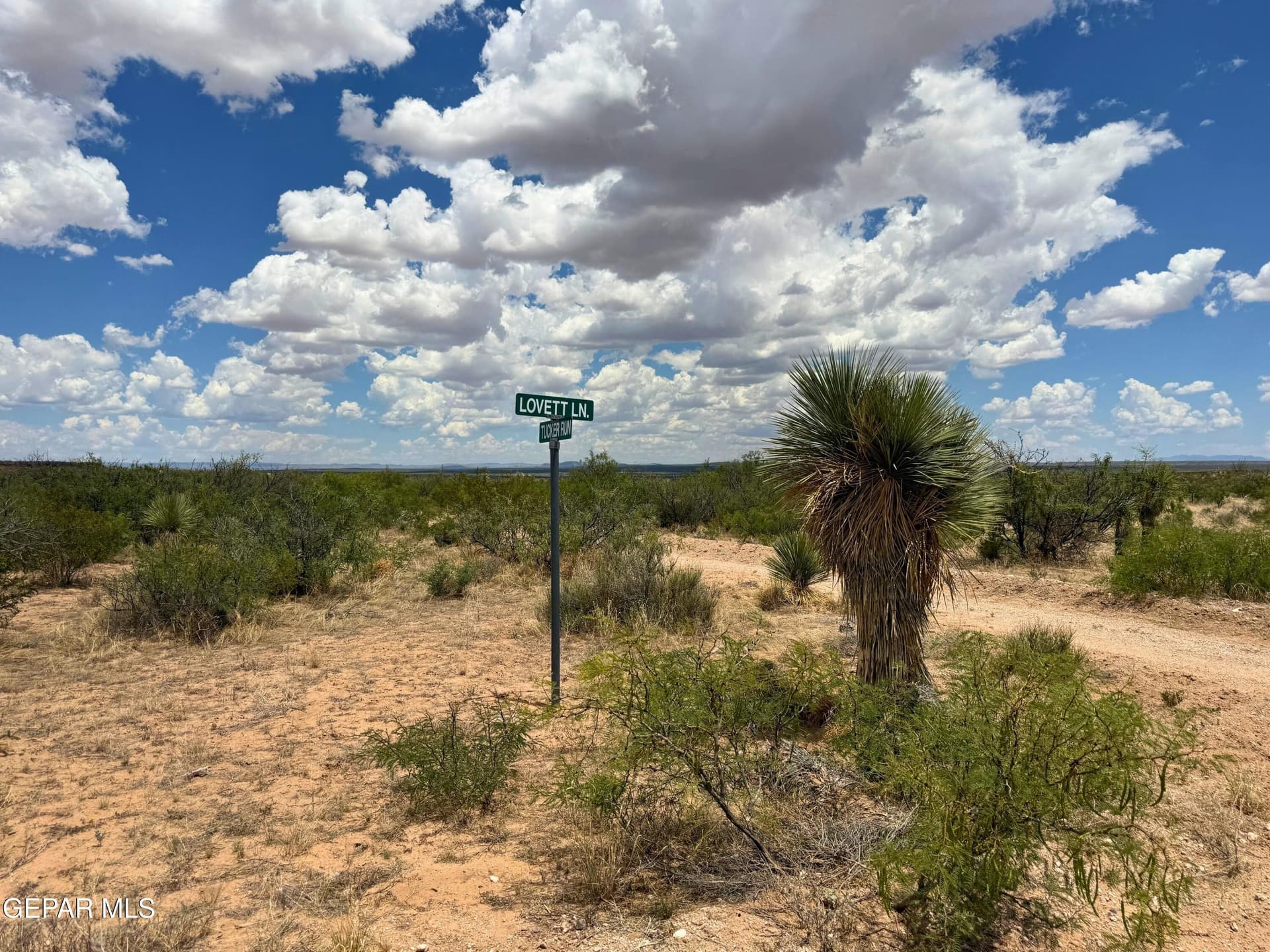 140 acres in Hudspeth County featured view