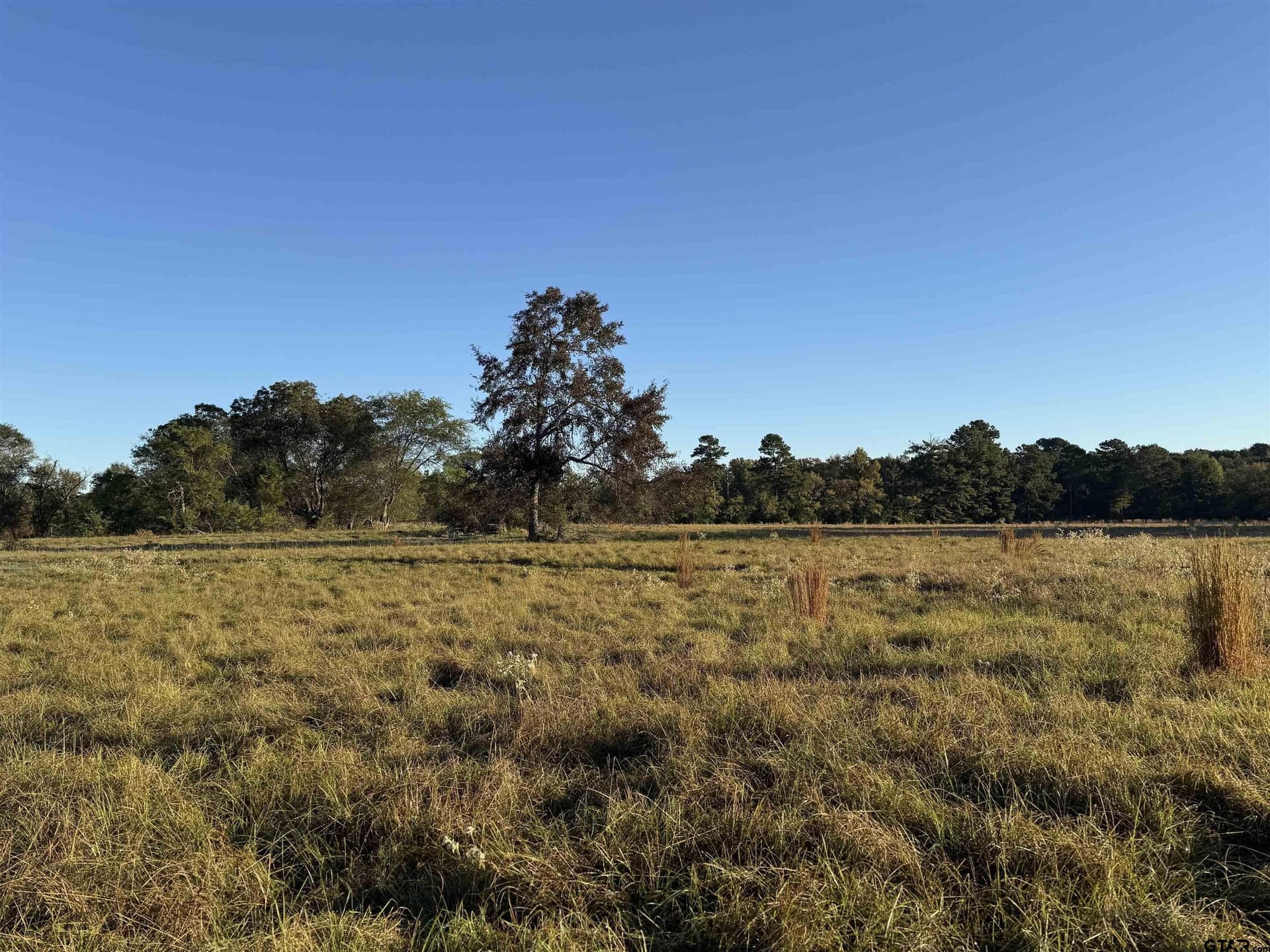 10 acres in Rusk County gallery image 4