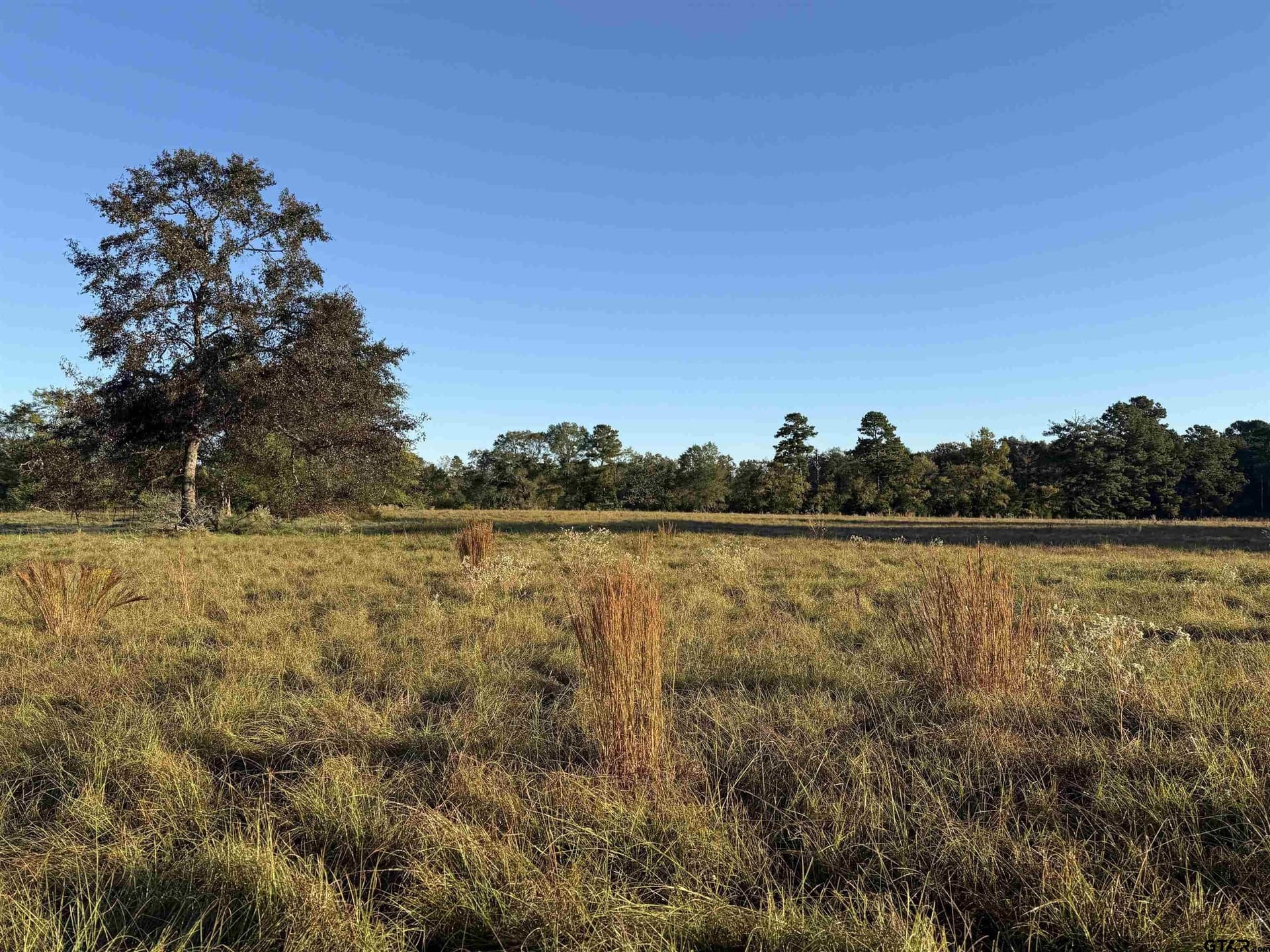 10 acres in Rusk County gallery image 3