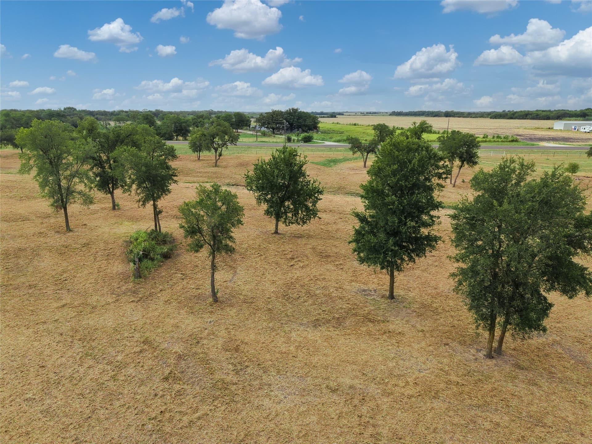 8.28 acres in Limestone County - photo 9