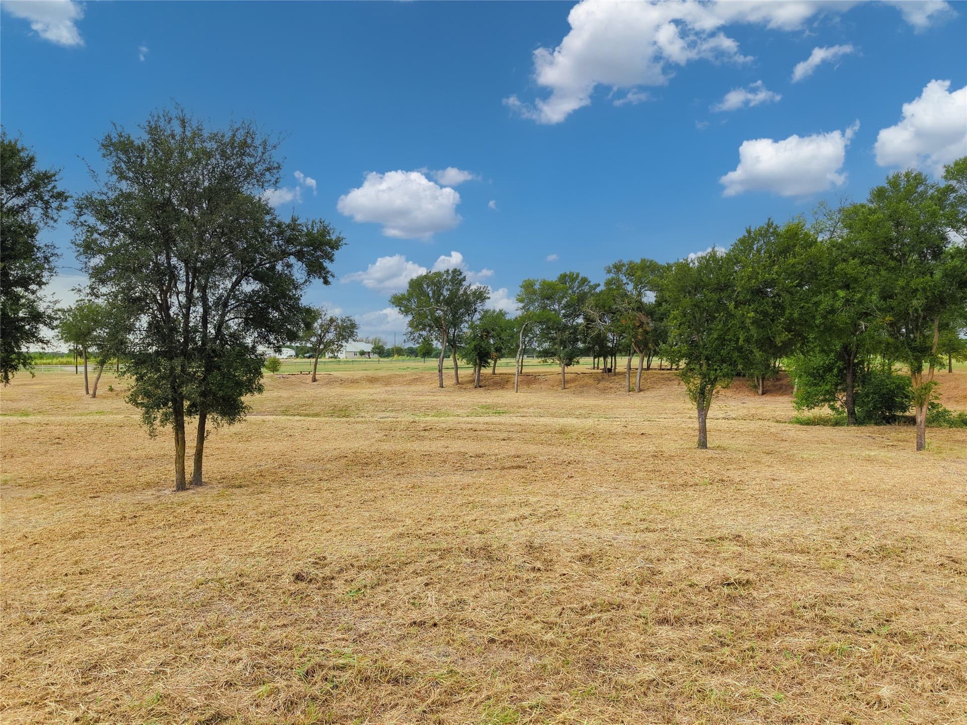 8.28 acres in Limestone County - photo 8
