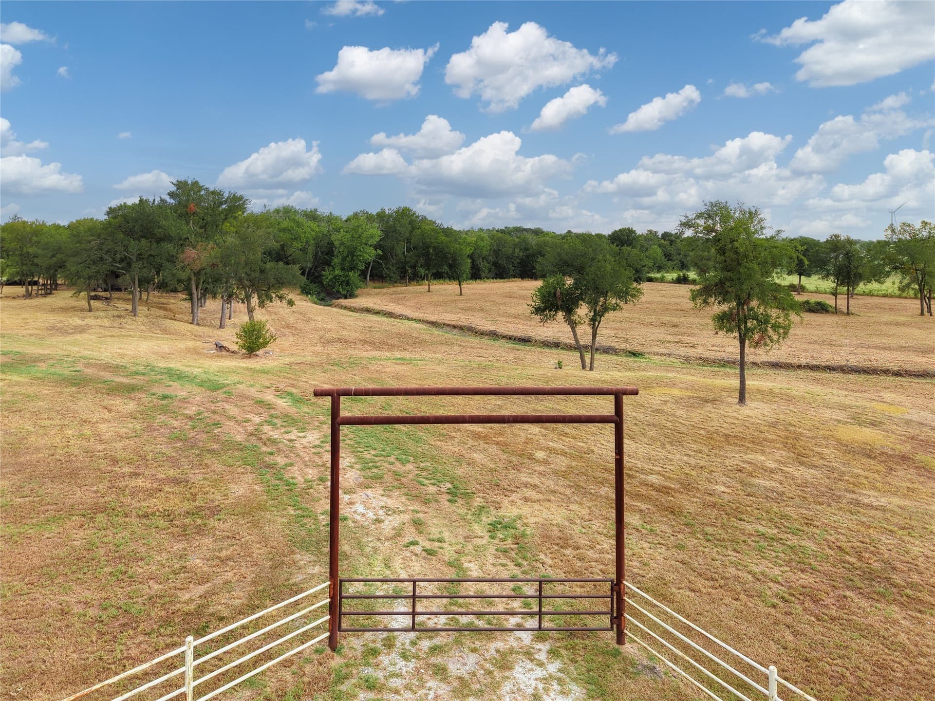 8.28 acres in Limestone County - photo 3