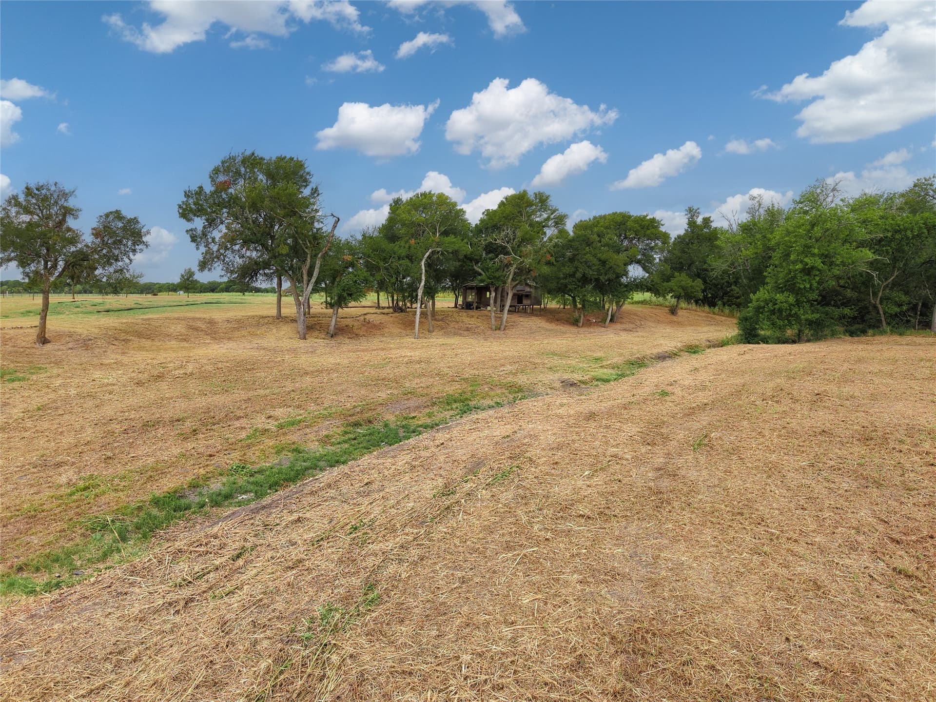 8.28 acres in Limestone County - photo 17