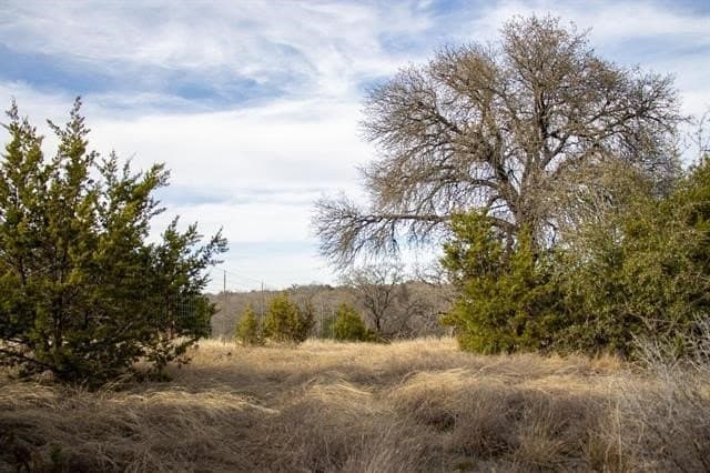 10.01 acres in San Saba County gallery image 3