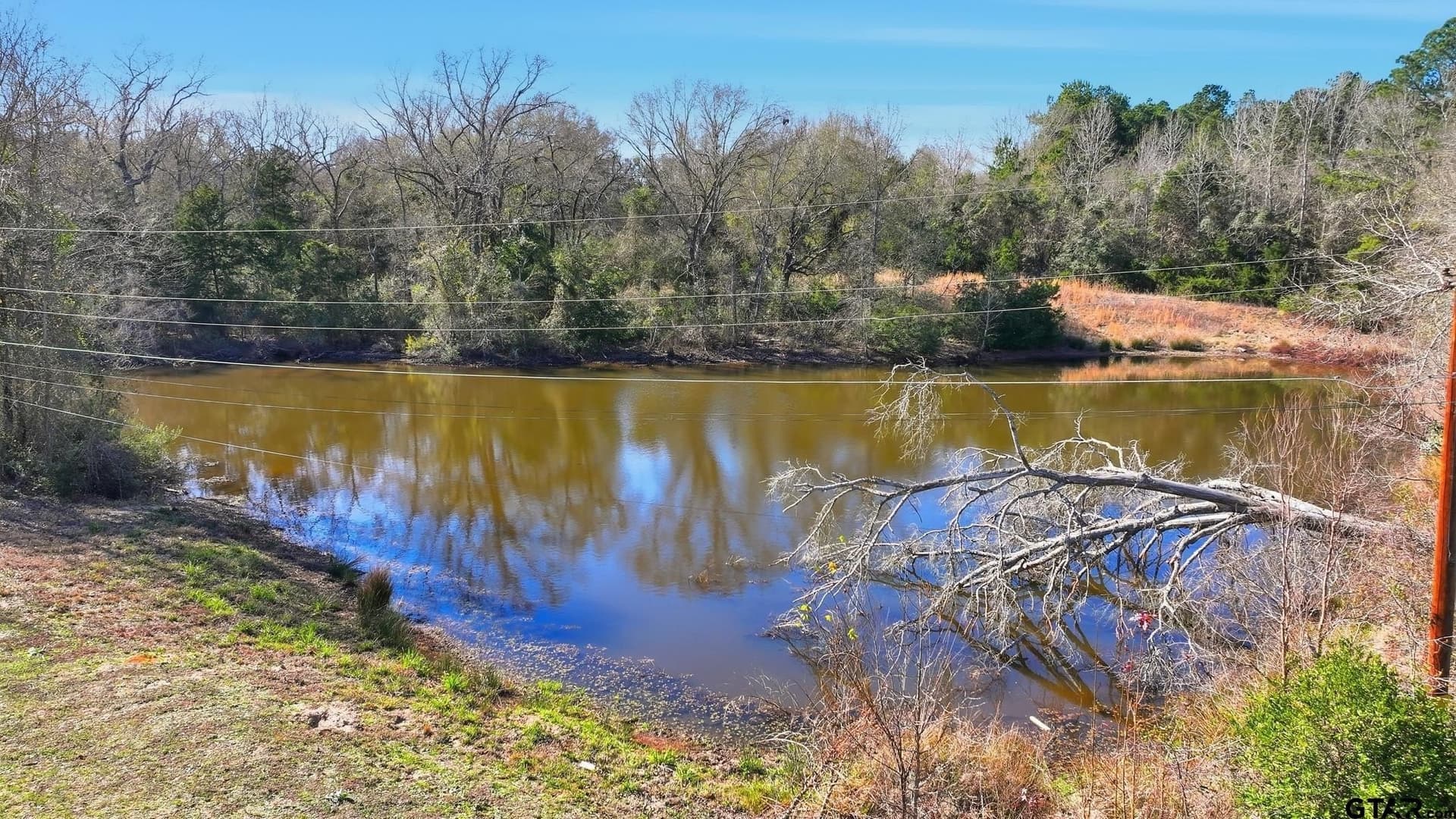 12.91 acres in Anderson County - photo 23