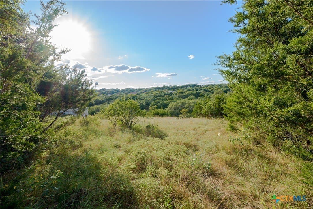 1.29 acres in Comal County gallery image 4