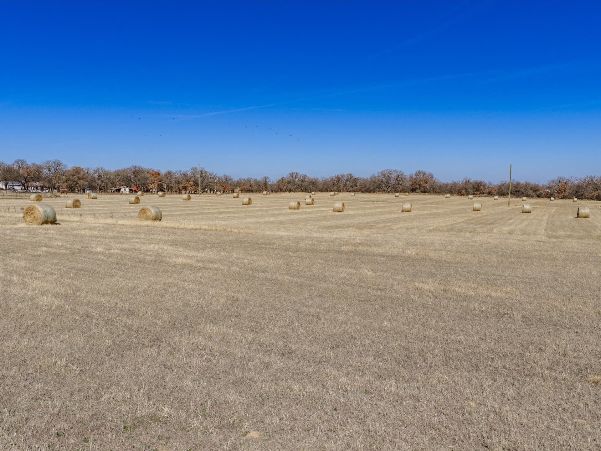 33.67 acres in Palo Pinto County - photo 11